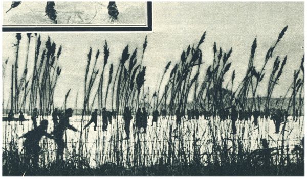 Klik voor de volgende foto