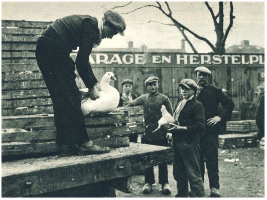 Klik voor de volgende foto