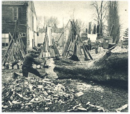 Klik voor de volgende foto