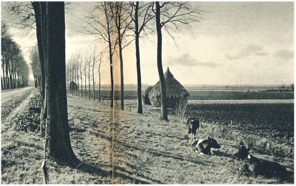Klik voor de volgende foto
