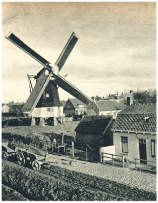 Klik voor de volgende foto
