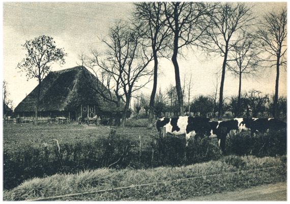 Klik voor de volgende foto
