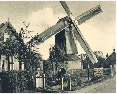 Klik voor de volgende foto