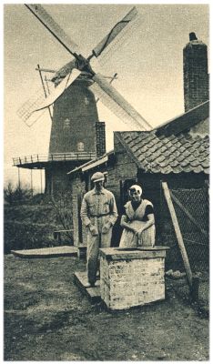 Klik voor de volgende foto