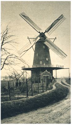 Klik voor de volgende foto