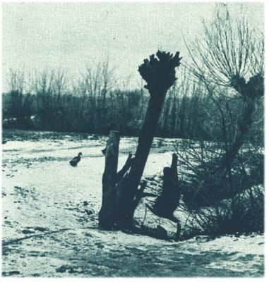 Klik voor de volgende foto
