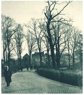 Klik voor de volgende foto