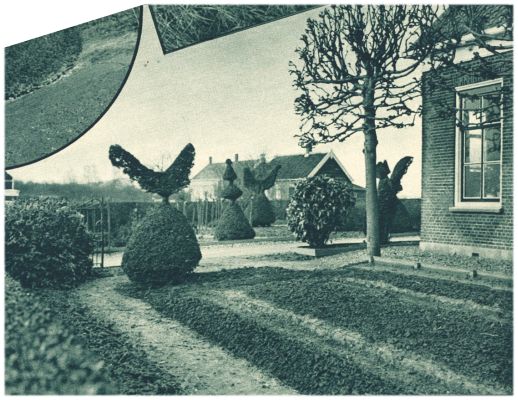 Klik voor de volgende foto