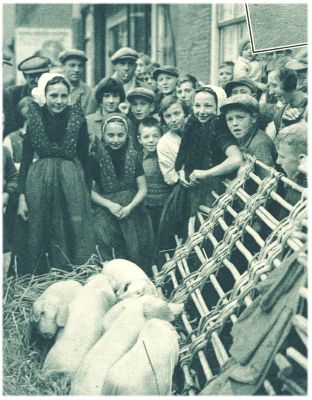 Klik voor de volgende foto
