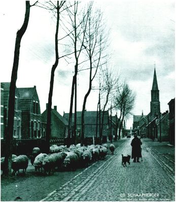 Klik voor de volgende foto