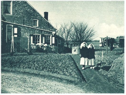 Klik voor de volgende foto