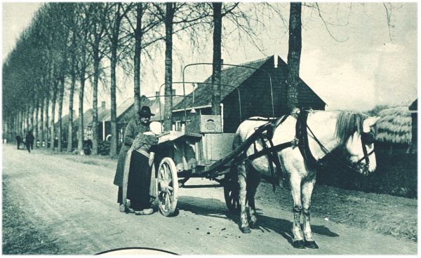 Klik voor de volgende foto