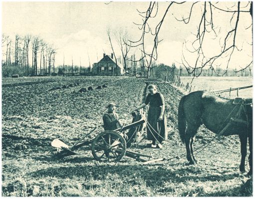 Klik voor de volgende foto