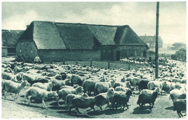 Klik voor de volgende foto