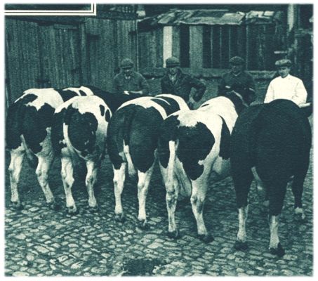 Klik voor de volgende foto
