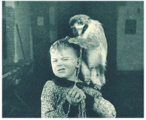 Klik voor de volgende foto