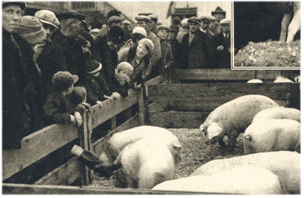 Klik voor de volgende foto