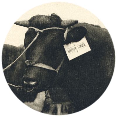 Klik voor de volgende foto
