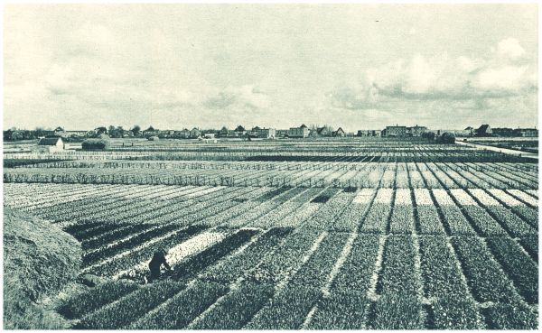 Klik voor de volgende foto