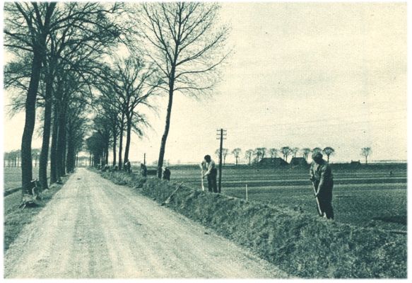 Klik voor de volgende foto
