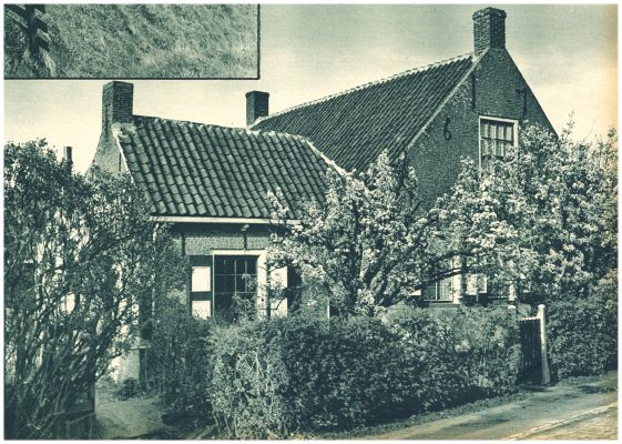 Klik voor de volgende foto