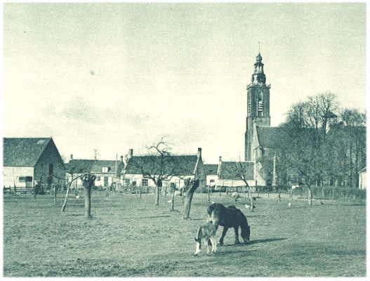 Klik voor de volgende foto