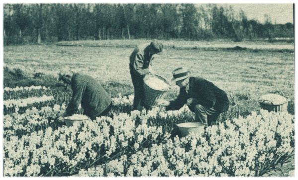 Klik voor de volgende foto
