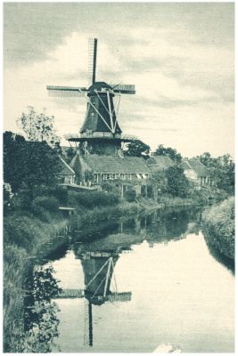 Klik voor de volgende foto