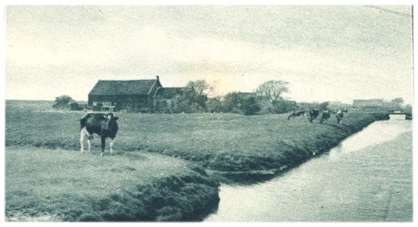 Klik voor de volgende foto