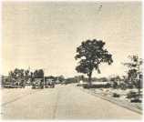 oz360112.jpg