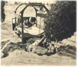 oz360116.jpg