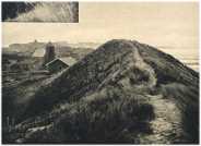 oz360149.jpg