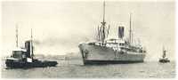 oz360425.jpg