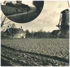 oz360524.jpg