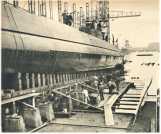 oz360662.jpg