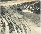 oz360760.jpg