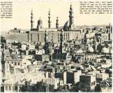 oz360783.jpg