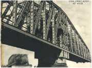 oz360910.jpg