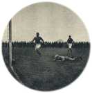 oz360960.jpg