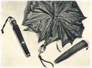 oz3610100.jpg