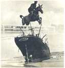 oz361109.jpg