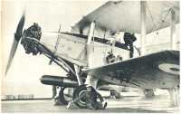oz361137.jpg