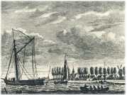 oz361145.jpg