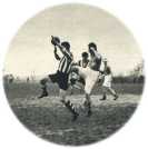 oz361160.jpg