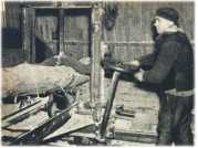 oz361173.jpg