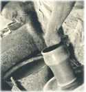 oz361233.jpg