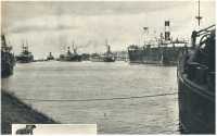 oz361250.jpg