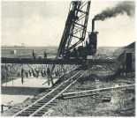 oz361252.jpg