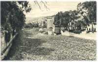 oz361295.jpg