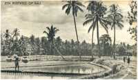oz361309.jpg